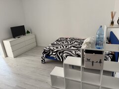 Drumul Taberei -Favorit